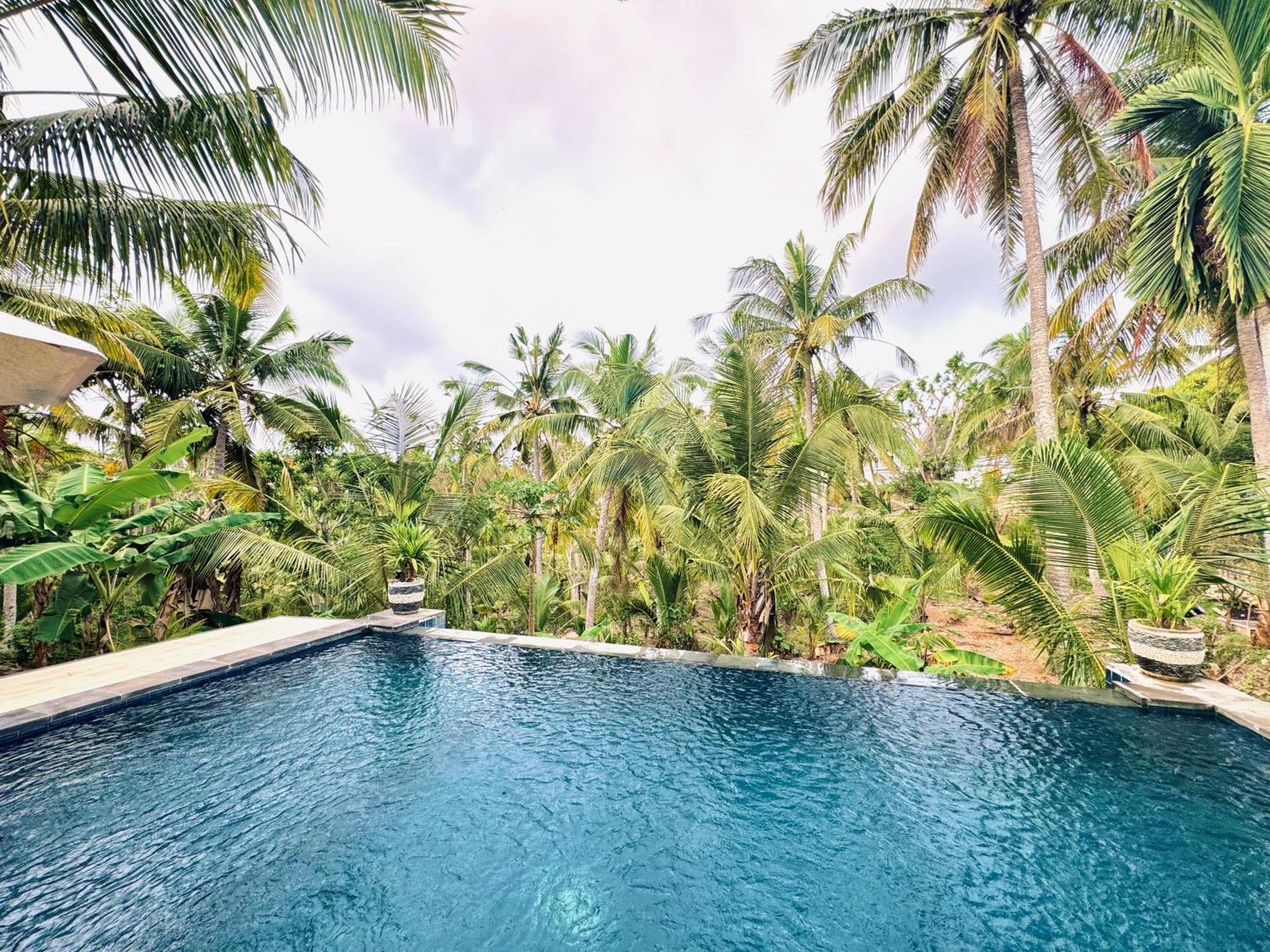 Kelingking Mesari Villa And Spa Batumadeg Экстерьер фото